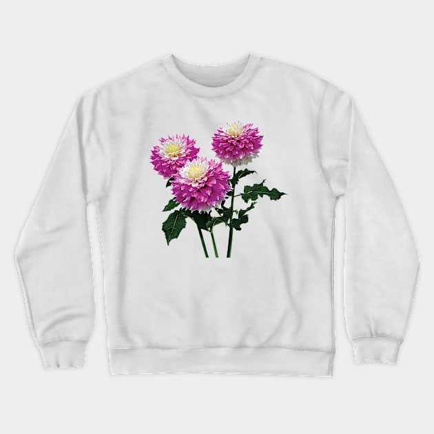 Dahlia Gitts Perfection Crewneck Sweatshirt by SusanSavad